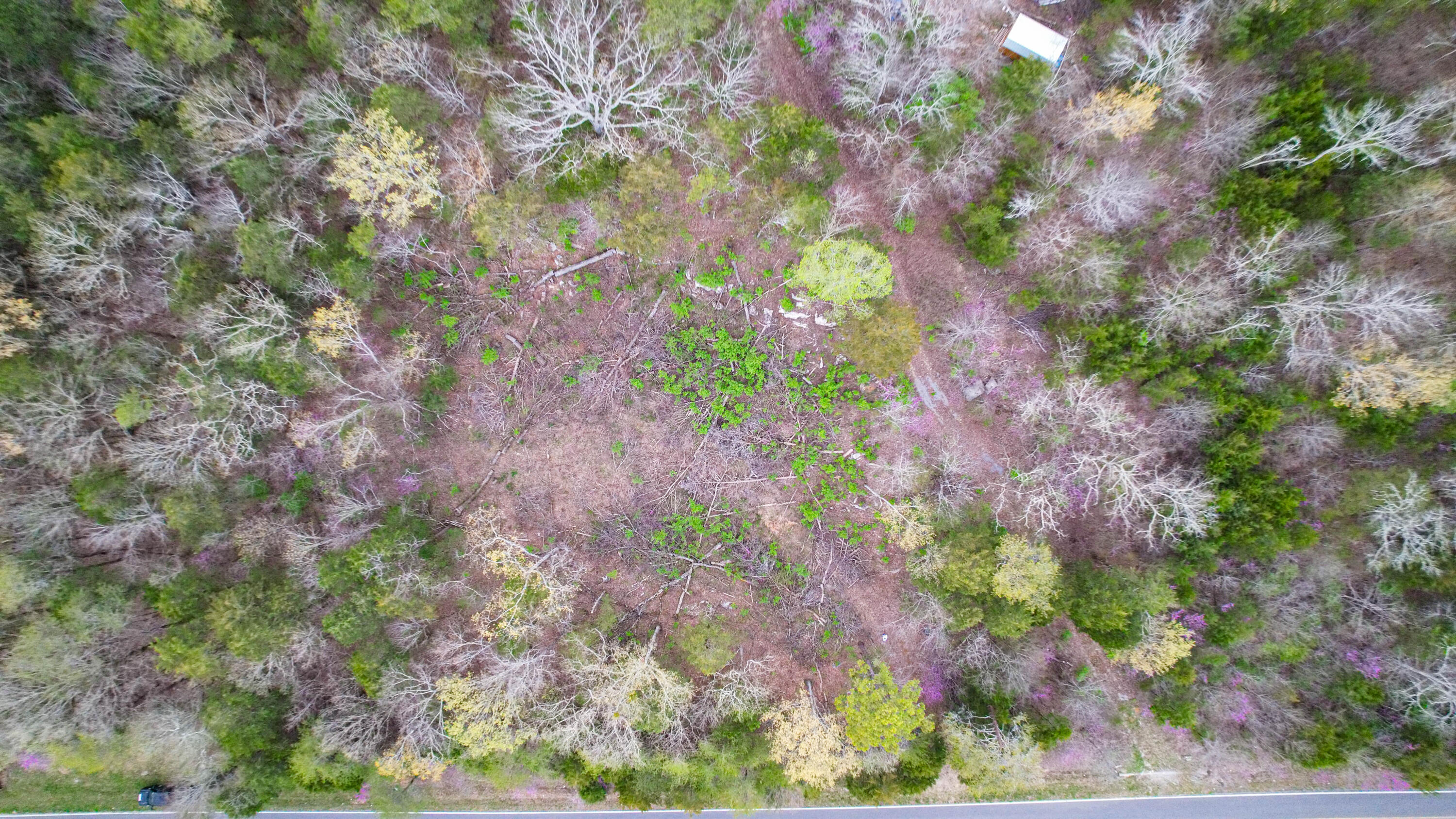 5.13 Acres Mckaig Road, Trenton, Georgia image 14