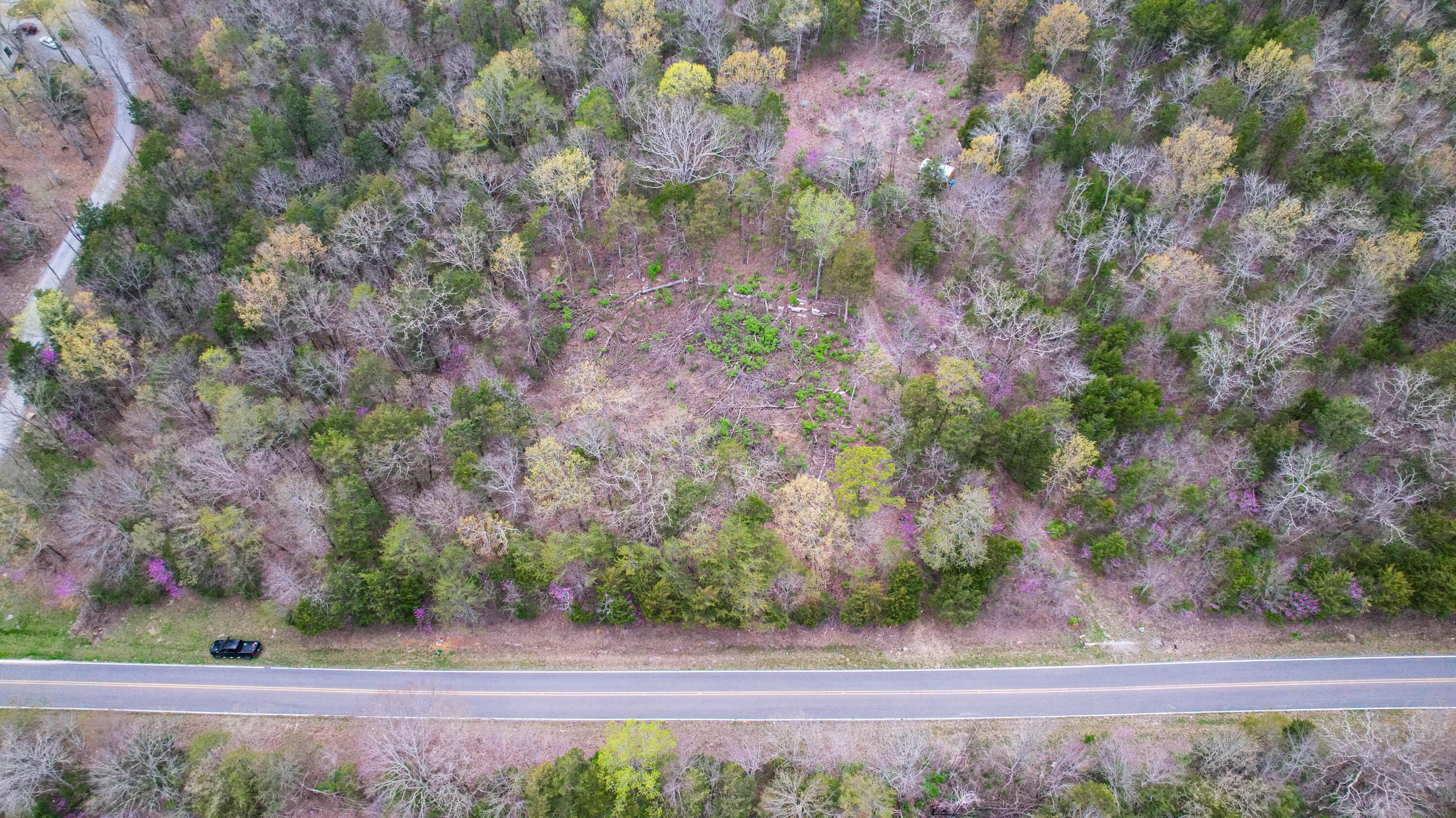 5.13 Acres Mckaig Road, Trenton, Georgia image 2