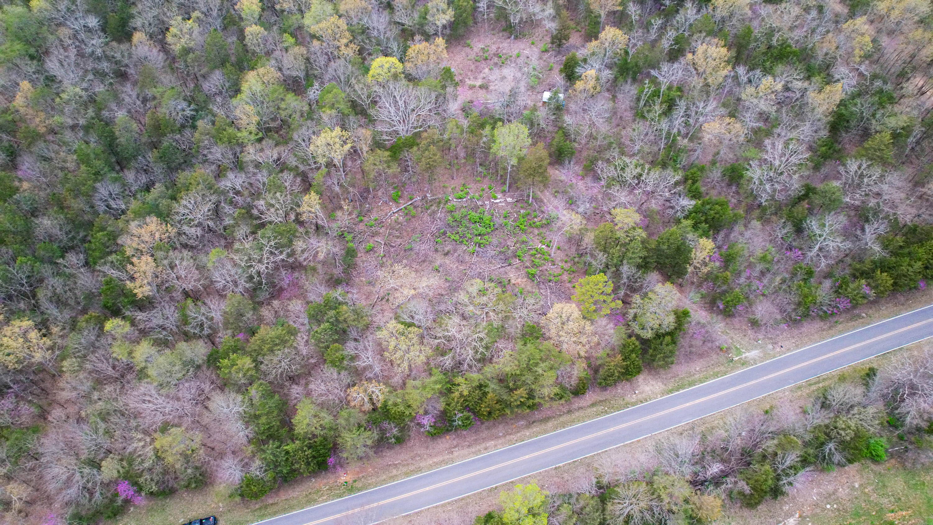 5.13 Acres Mckaig Road, Trenton, Georgia image 3
