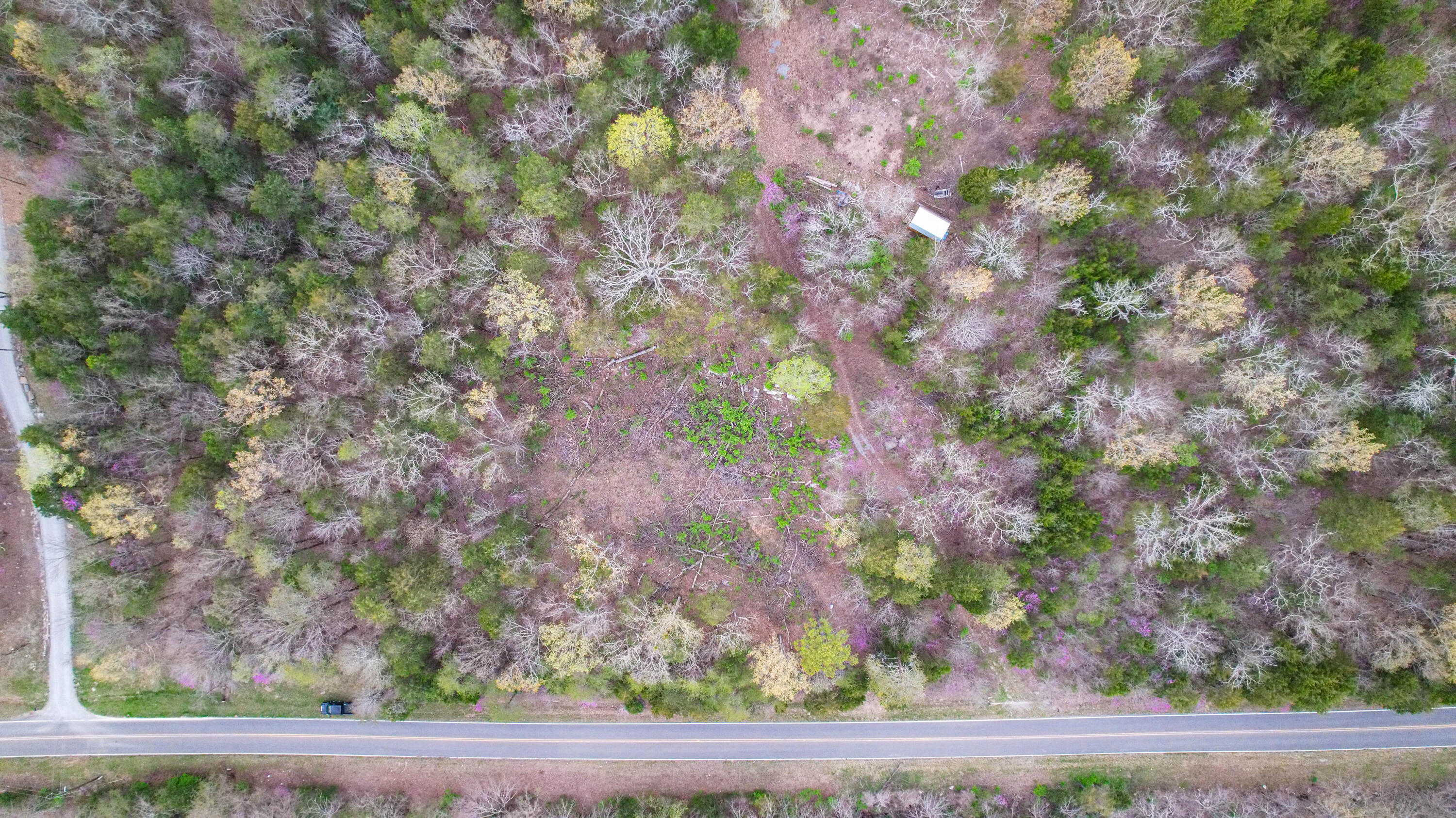 5.13 Acres Mckaig Road, Trenton, Georgia image 15