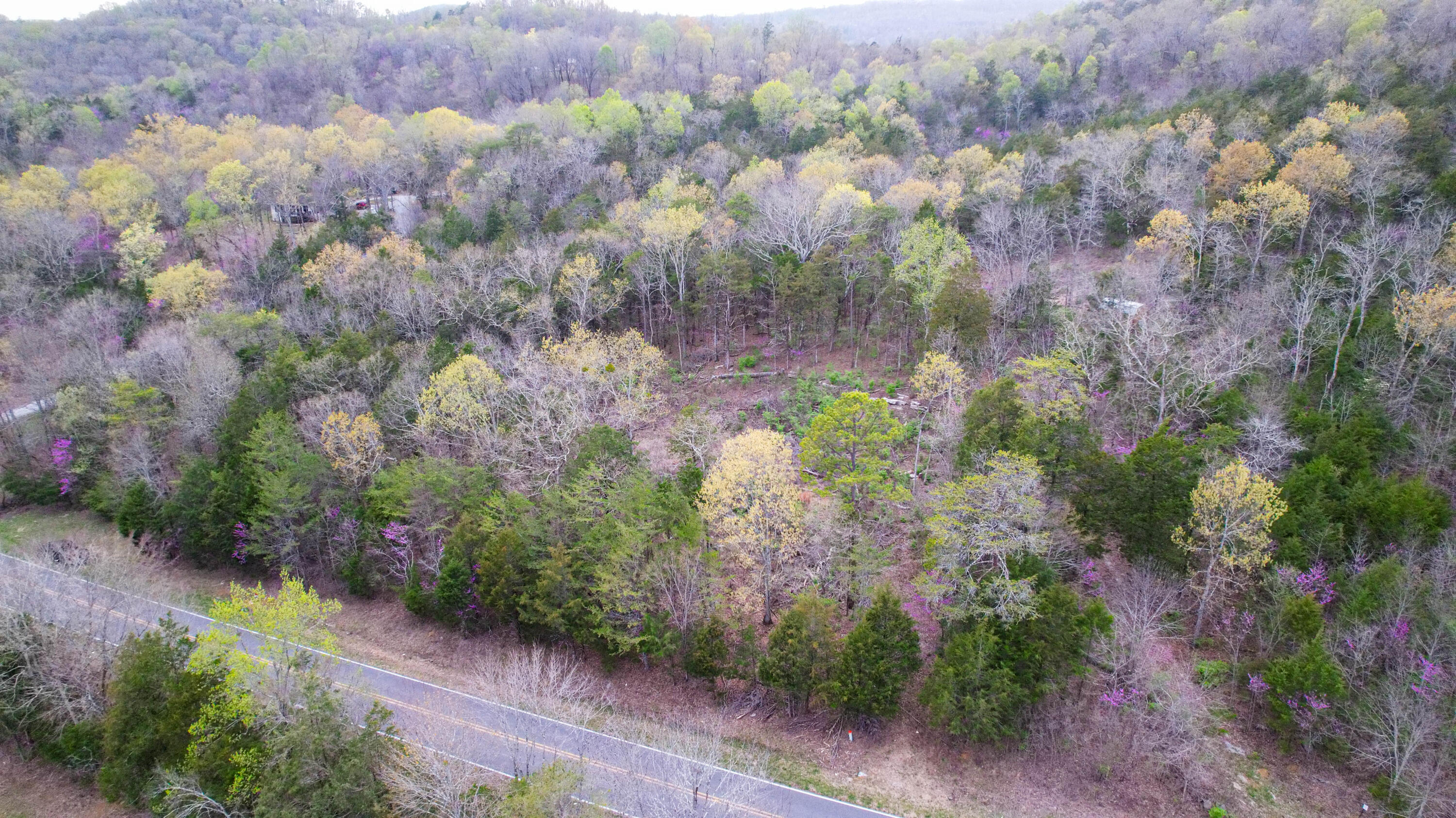5.13 Acres Mckaig Road, Trenton, Georgia image 5