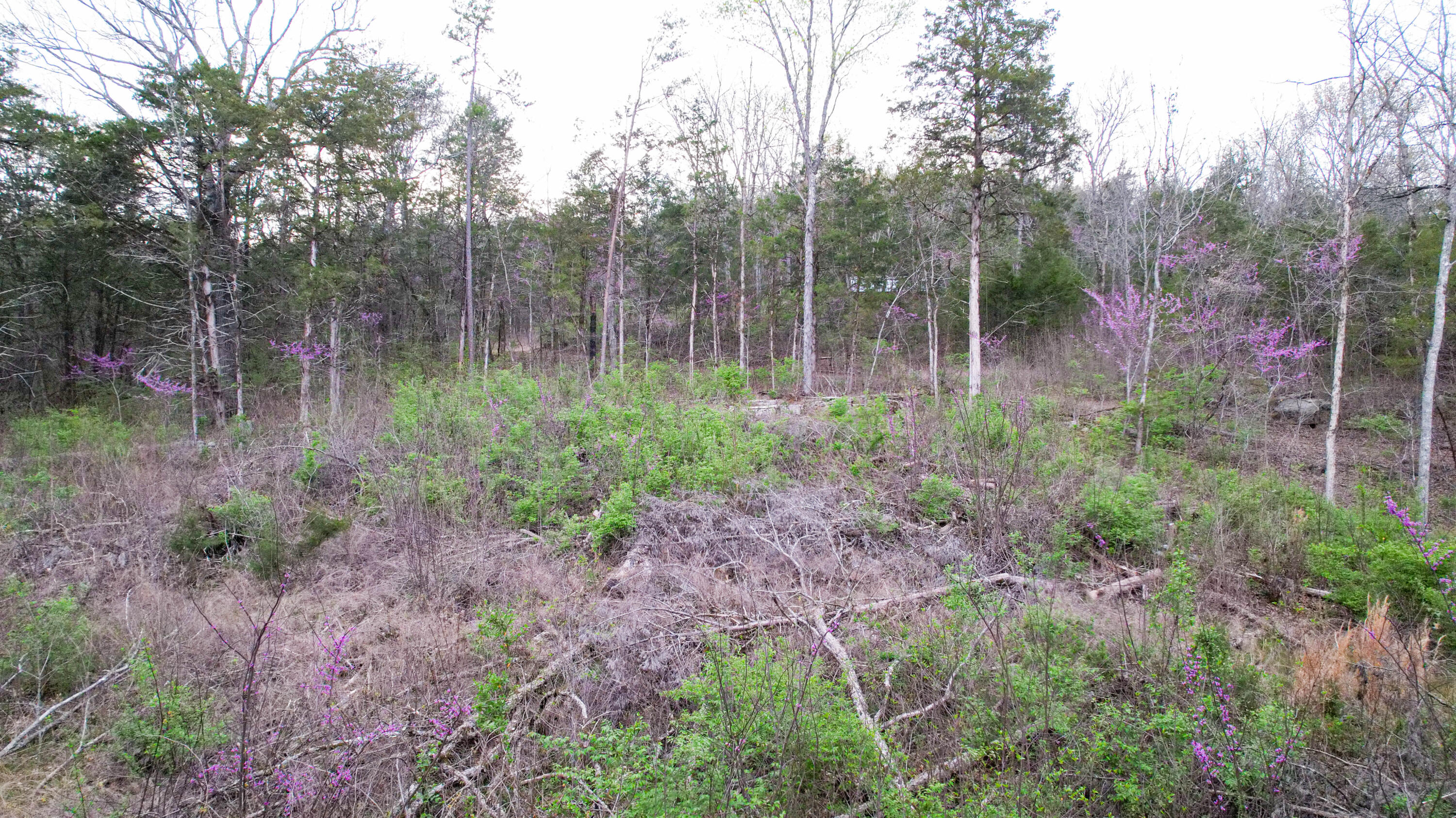5.13 Acres Mckaig Road, Trenton, Georgia image 10