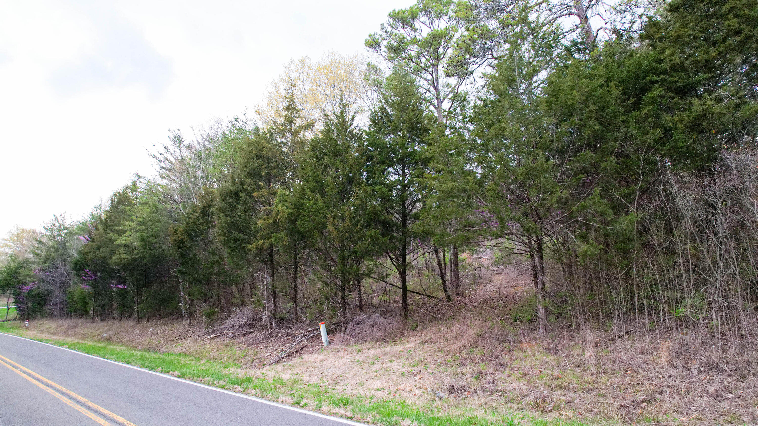 5.13 Acres Mckaig Road, Trenton, Georgia image 13