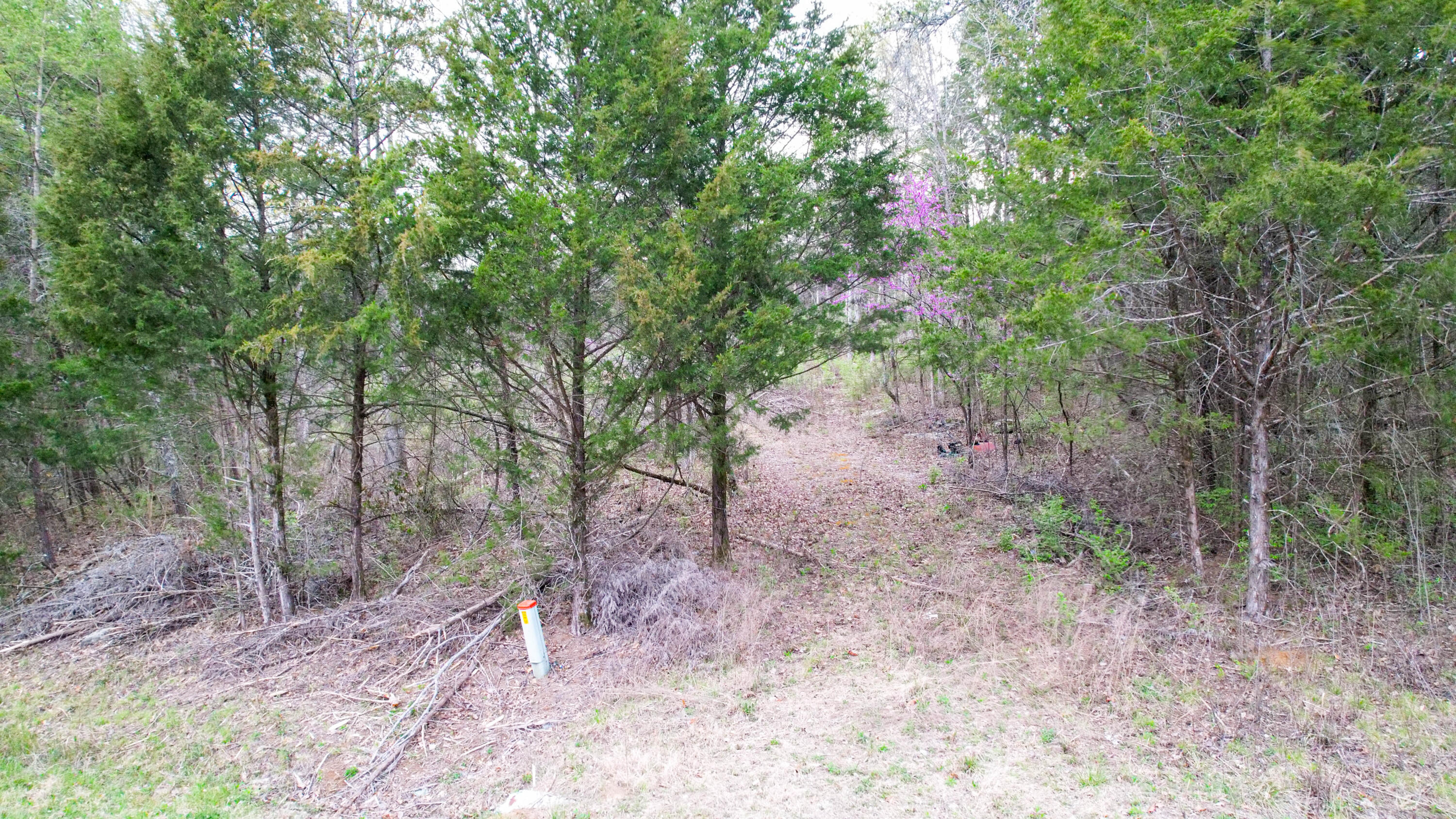 5.13 Acres Mckaig Road, Trenton, Georgia image 8