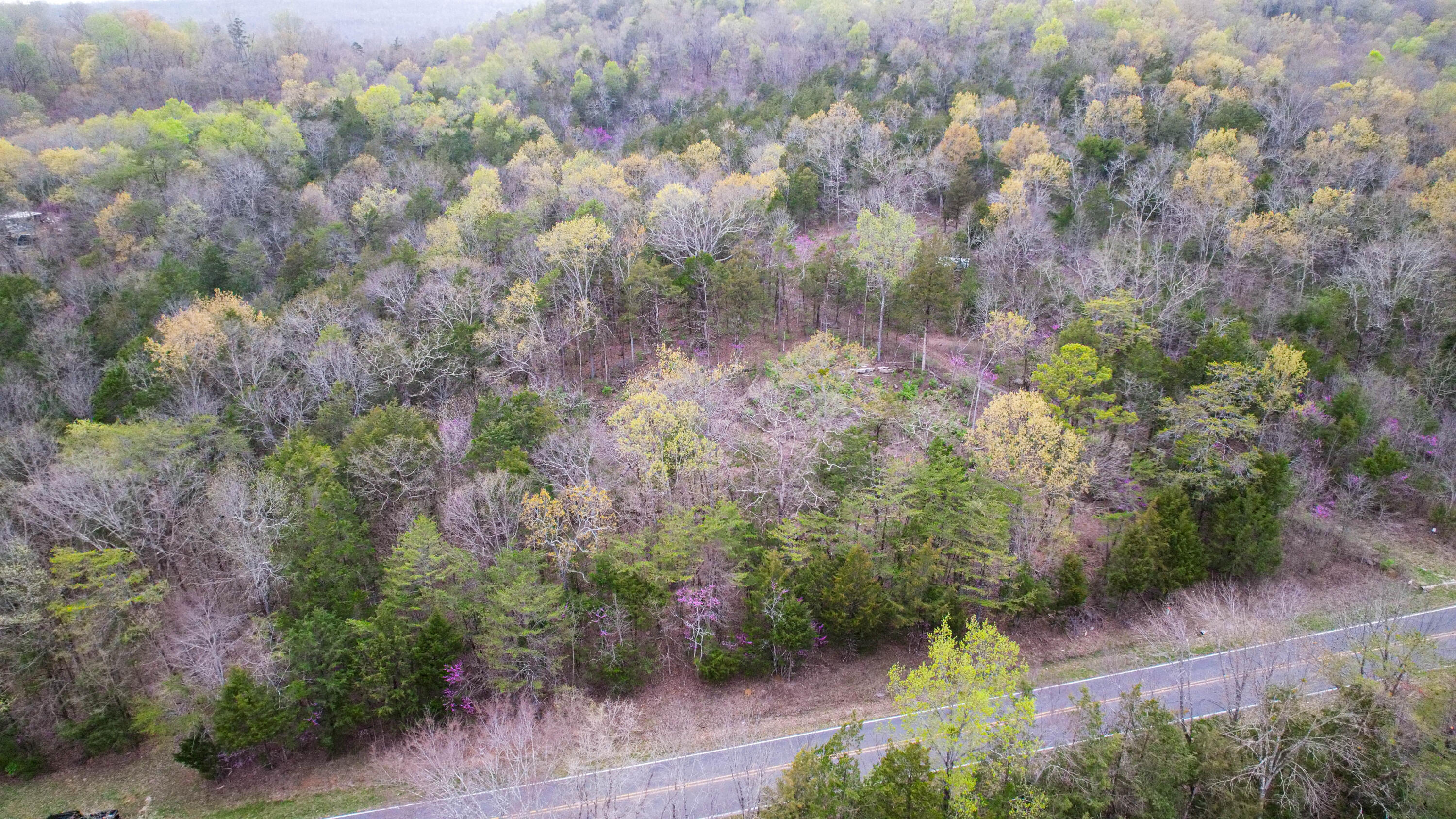 5.13 Acres Mckaig Road, Trenton, Georgia image 4