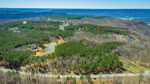 Tiny photo for 0 Volunteer Street, Jasper, TN 37347 (MLS # 1530538)