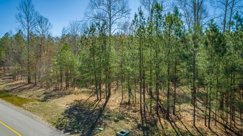Tiny photo for 0 Volunteer Street, Jasper, TN 37347 (MLS # 1530538)