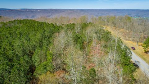 Tiny photo for 0 Volunteer Street, Jasper, TN 37347 (MLS # 1530538)