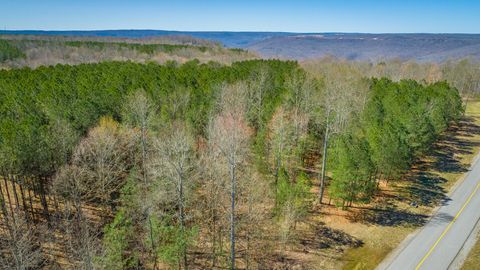 Tiny photo for 0 Volunteer Street, Jasper, TN 37347 (MLS # 1530538)