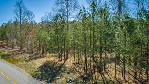 Tiny photo for 0 Volunteer Street, Jasper, TN 37347 (MLS # 1530538)