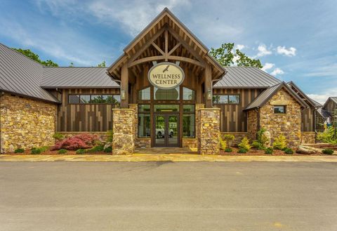 Tiny photo for 0 Volunteer Street, Jasper, TN 37347 (MLS # 1530538)