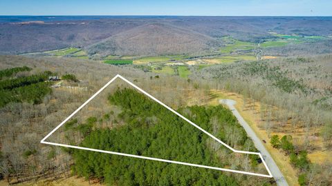 Tiny photo for 0 Volunteer Street, Jasper, TN 37347 (MLS # 1530538)