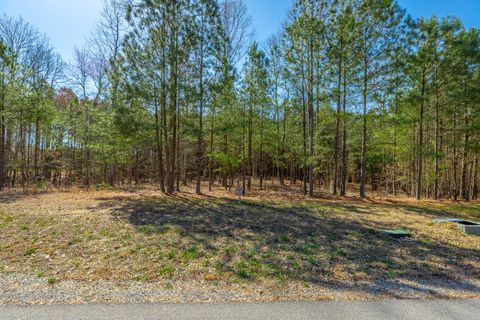 Tiny photo for 0 Volunteer Street, Jasper, TN 37347 (MLS # 1530538)