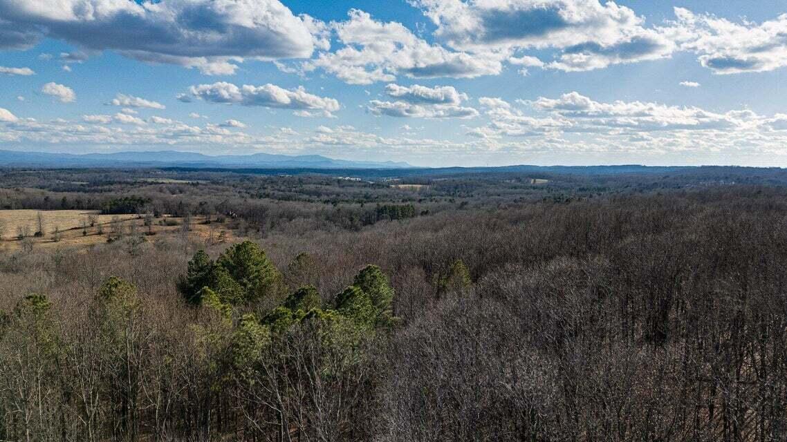 Live Oak Trail, Cleveland, Tennessee image 9