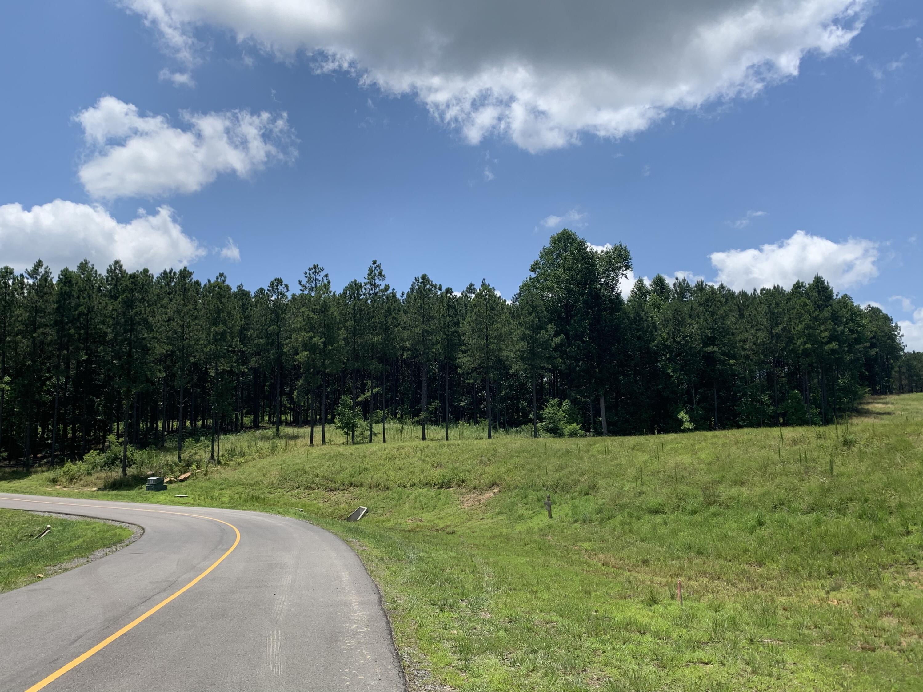 350 Crockett Loop #JF-79, Jasper, Tennessee image 7