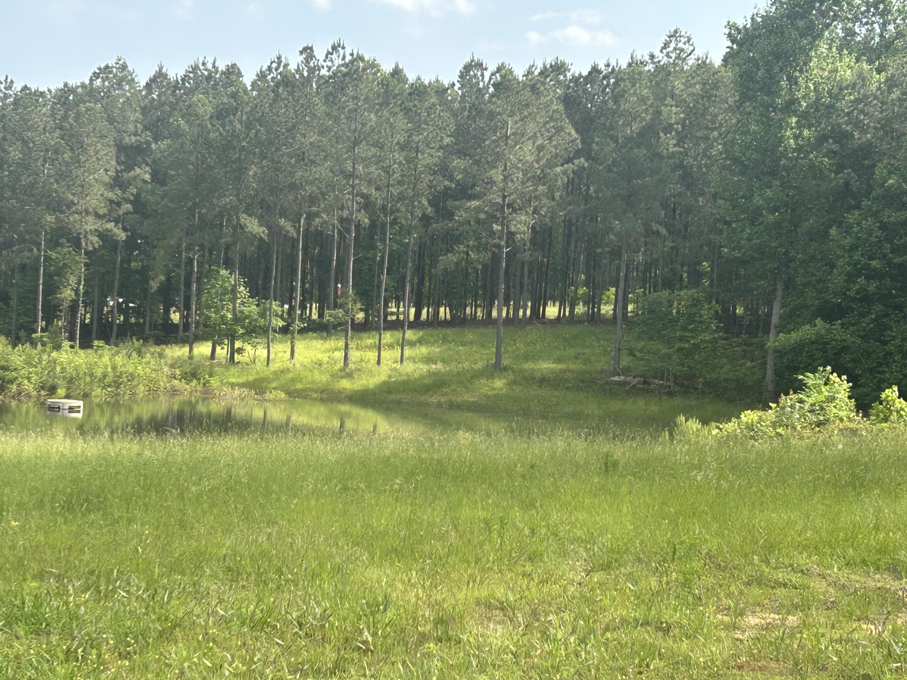 350 Crockett Loop #JF-79, Jasper, Tennessee image 16