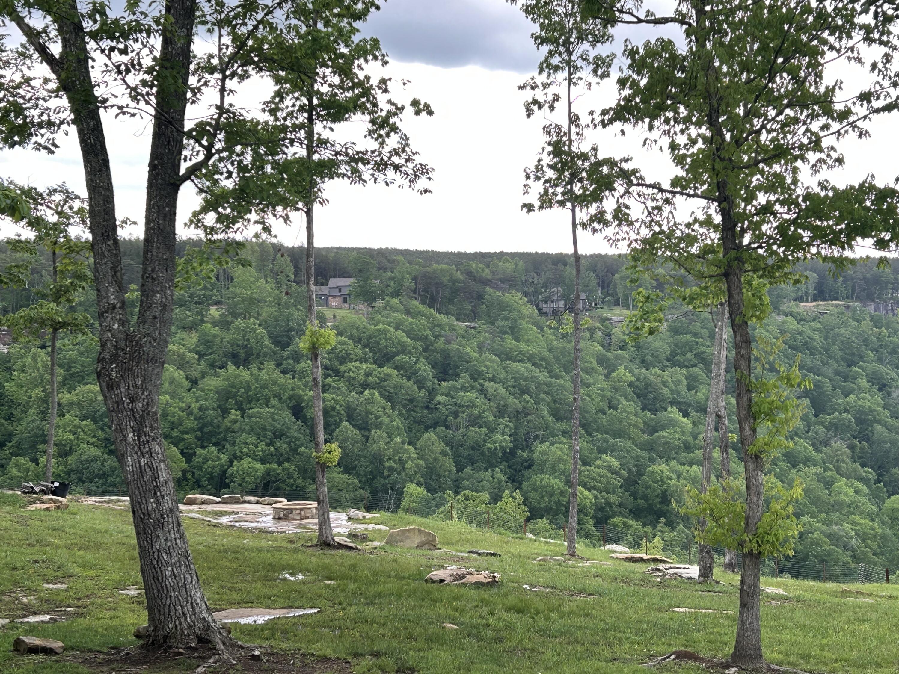 350 Crockett Loop #JF-79, Jasper, Tennessee image 45