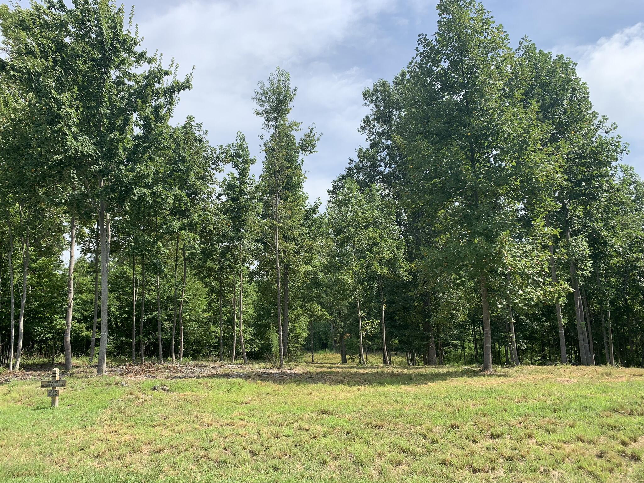 350 Crockett Loop #JF-79, Jasper, Tennessee image 3