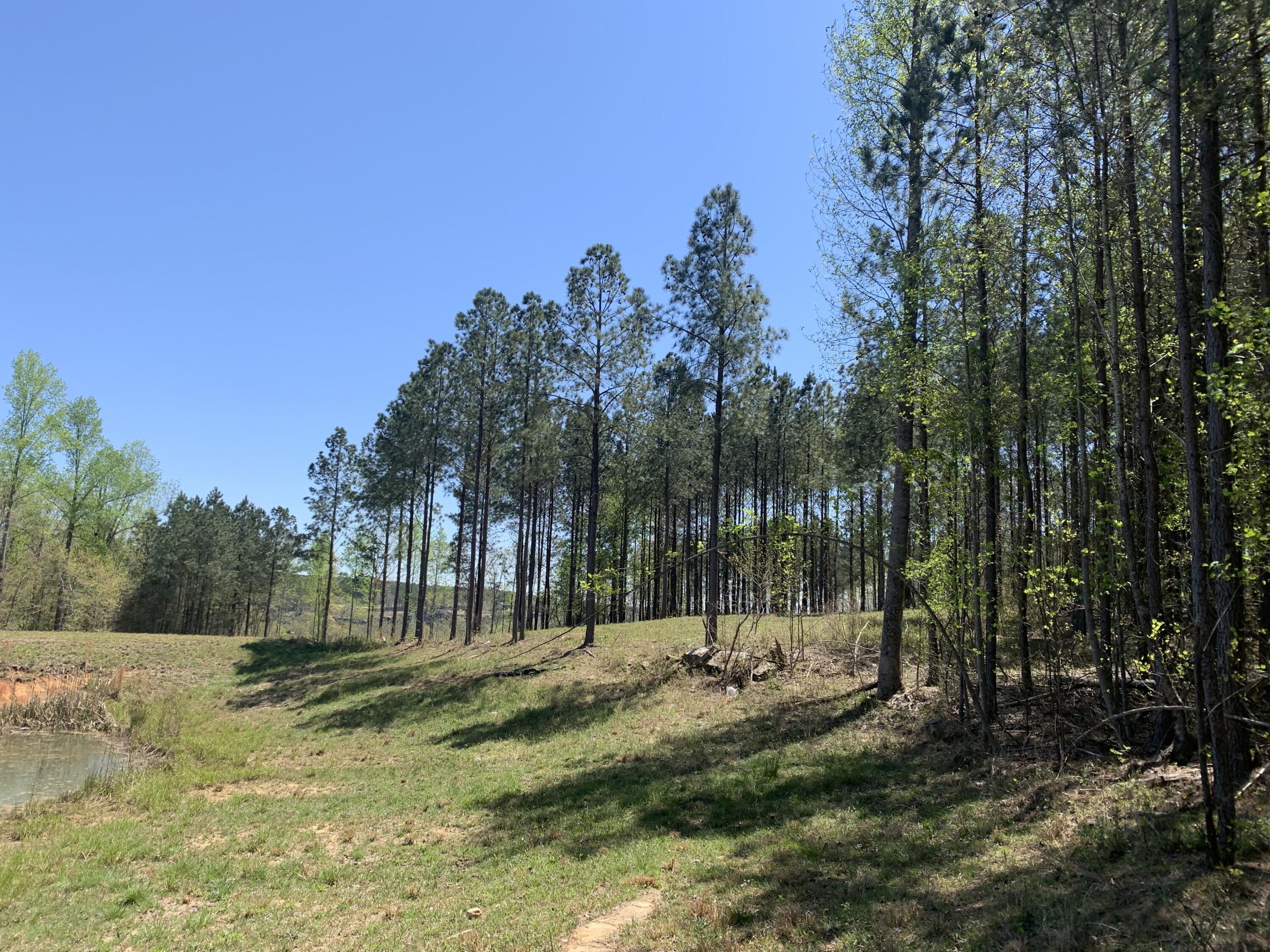 350 Crockett Loop #JF-79, Jasper, Tennessee image 8