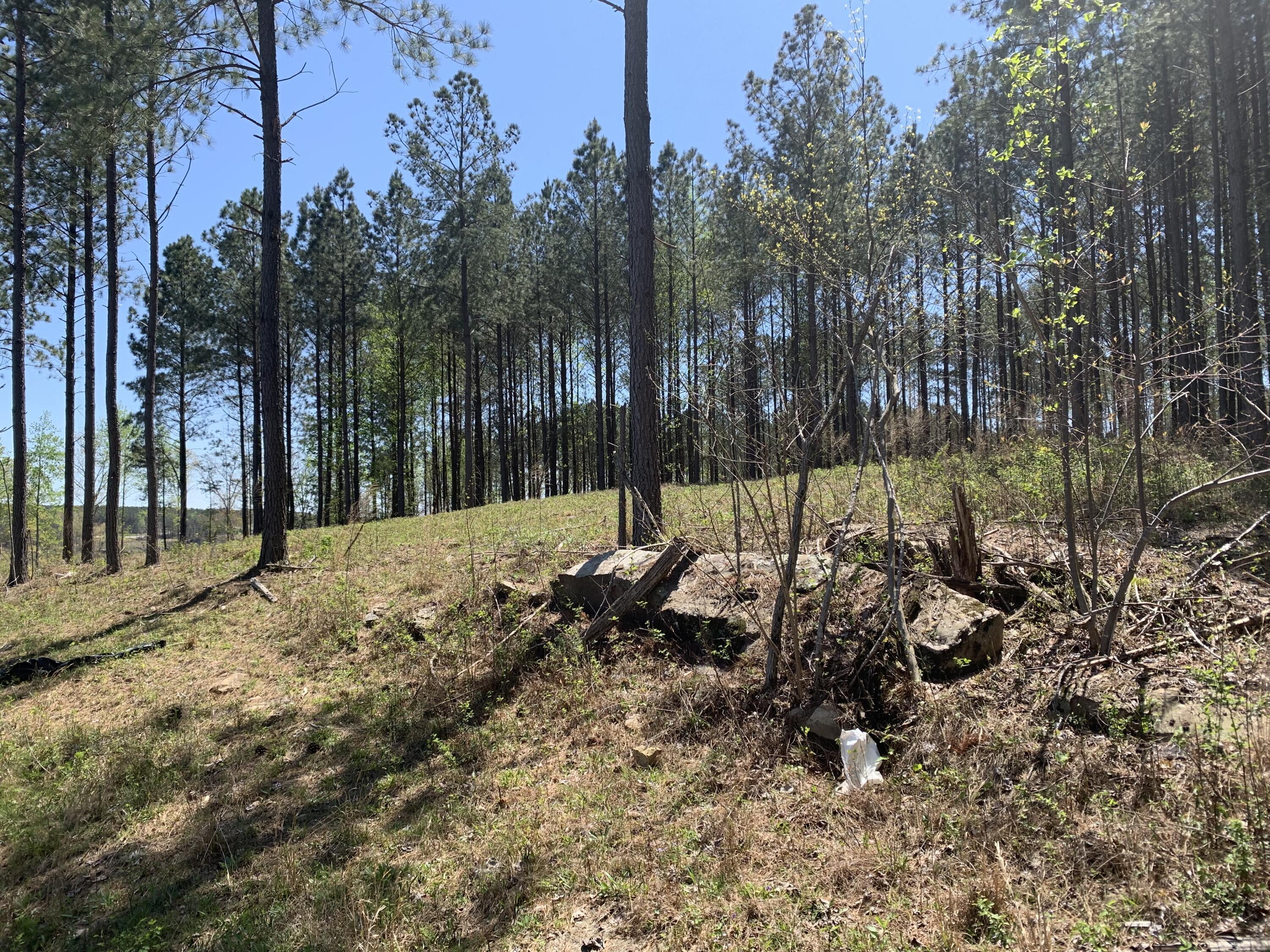 350 Crockett Loop #JF-79, Jasper, Tennessee image 9