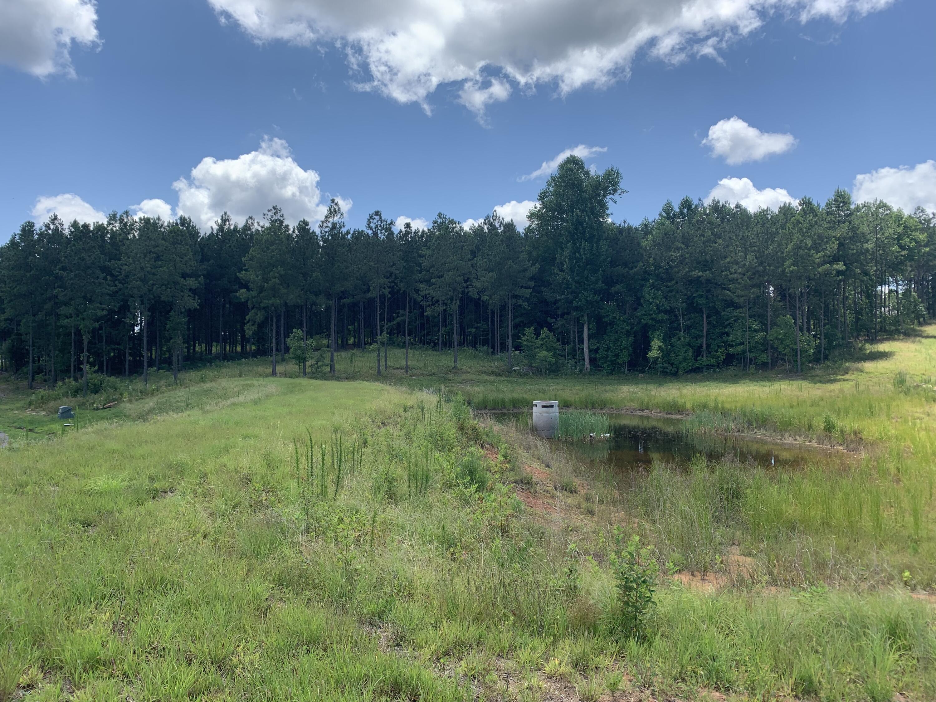 350 Crockett Loop #JF-79, Jasper, Tennessee image 6