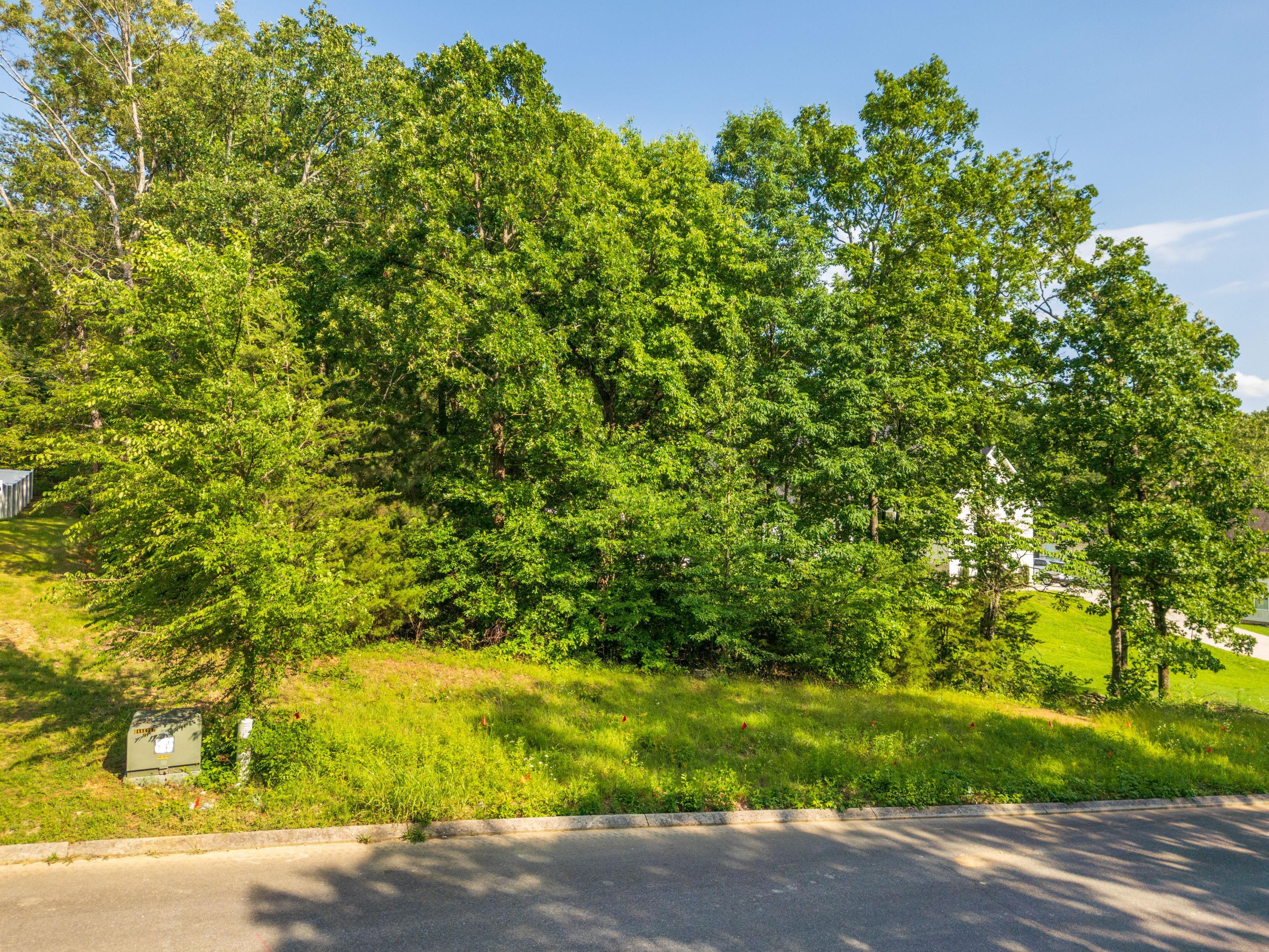 Lot 25 Covenant Hills, Cleveland, Tennessee image 3
