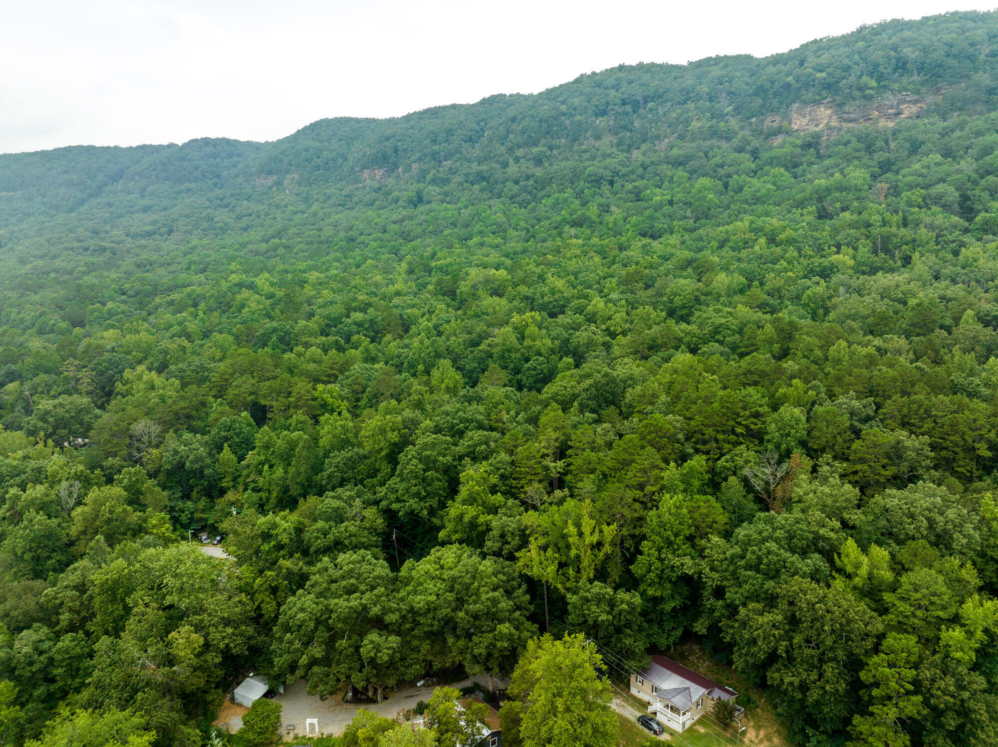 River Canyon Road, Chattanooga, Tennessee image 11