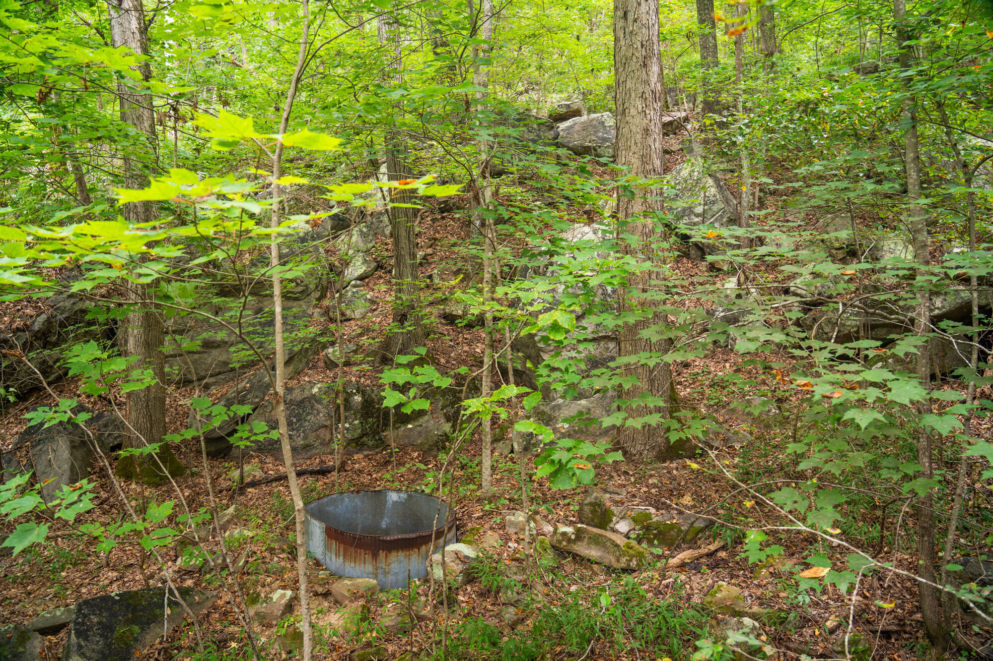 River Canyon Road, Chattanooga, Tennessee image 25