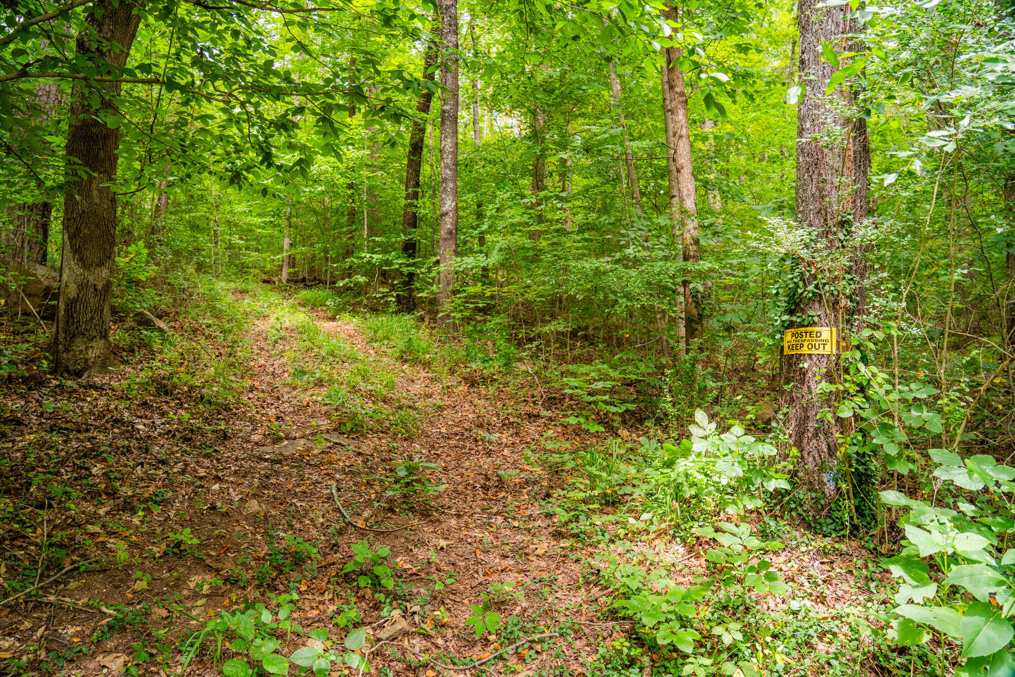 River Canyon Road, Chattanooga, Tennessee image 31