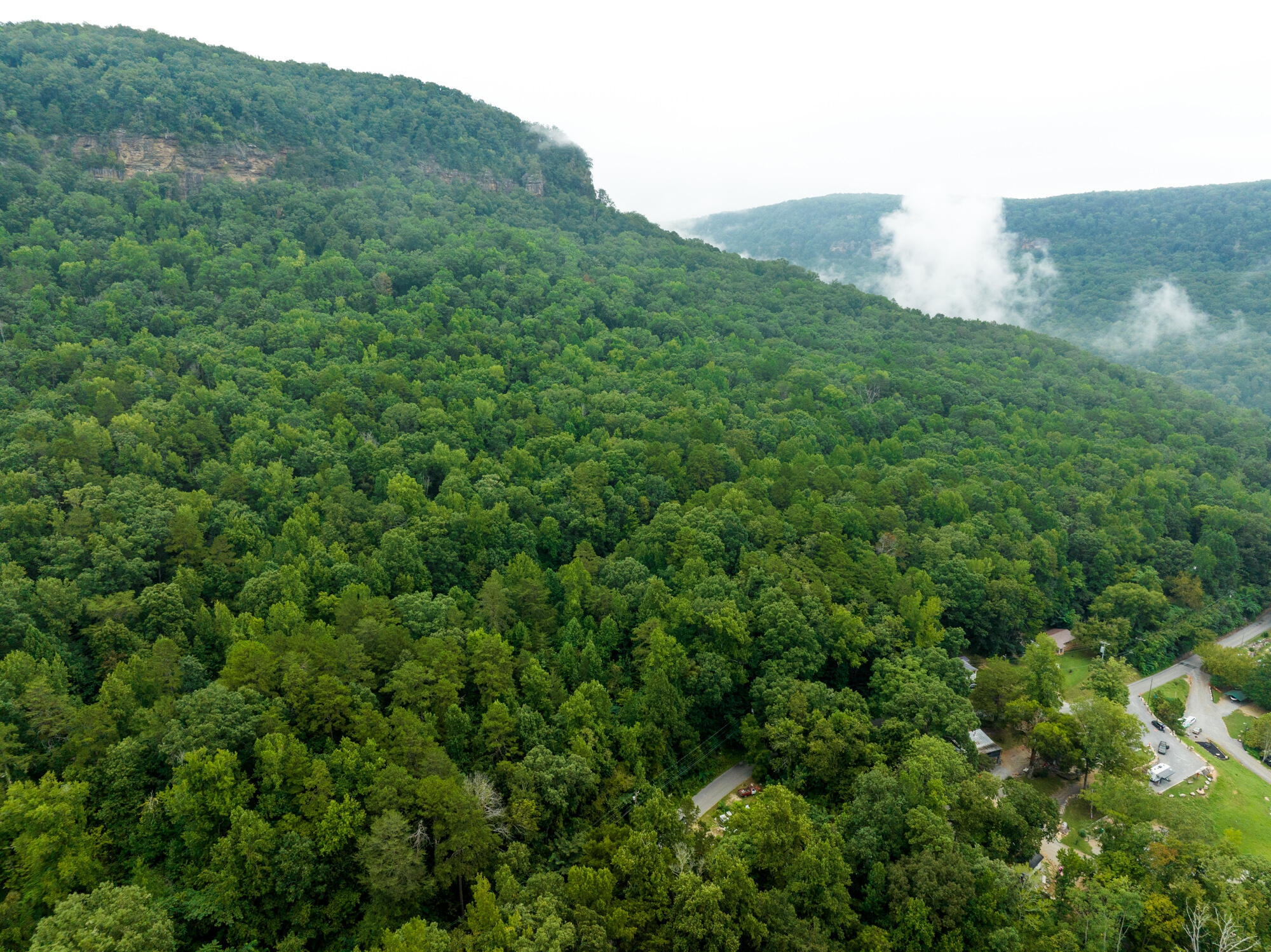 River Canyon Road, Chattanooga, Tennessee image 6