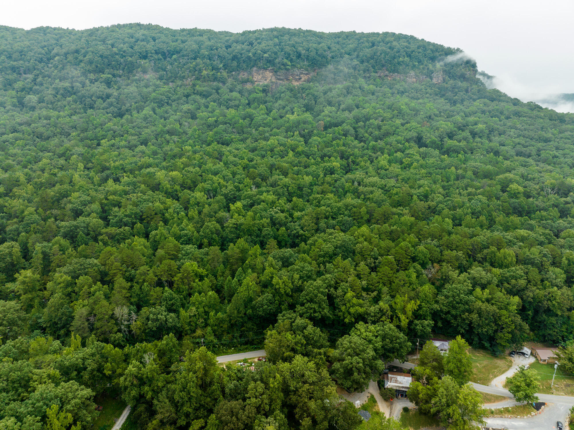 River Canyon Road, Chattanooga, Tennessee image 4