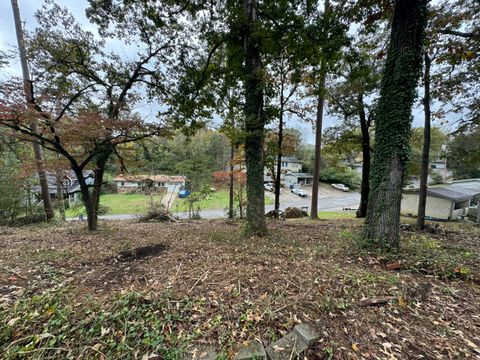 Photo of 217 W Ridgewood Avenue, Chattanooga, TN 37415 (MLS # 1523109)
