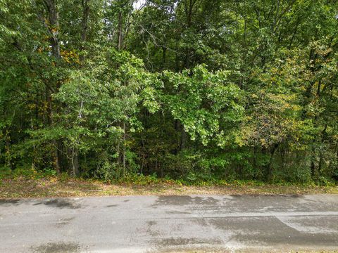Photo of 0 Jacobs Road, Ringgold, GA 30736 (MLS # 1520973)