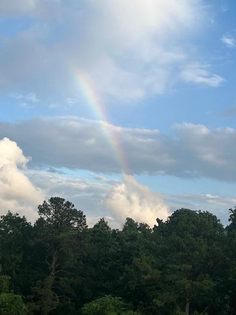 Tiny photo for 1414 Continental Drive, Chattanooga, TN 37405 (MLS # 1525878)