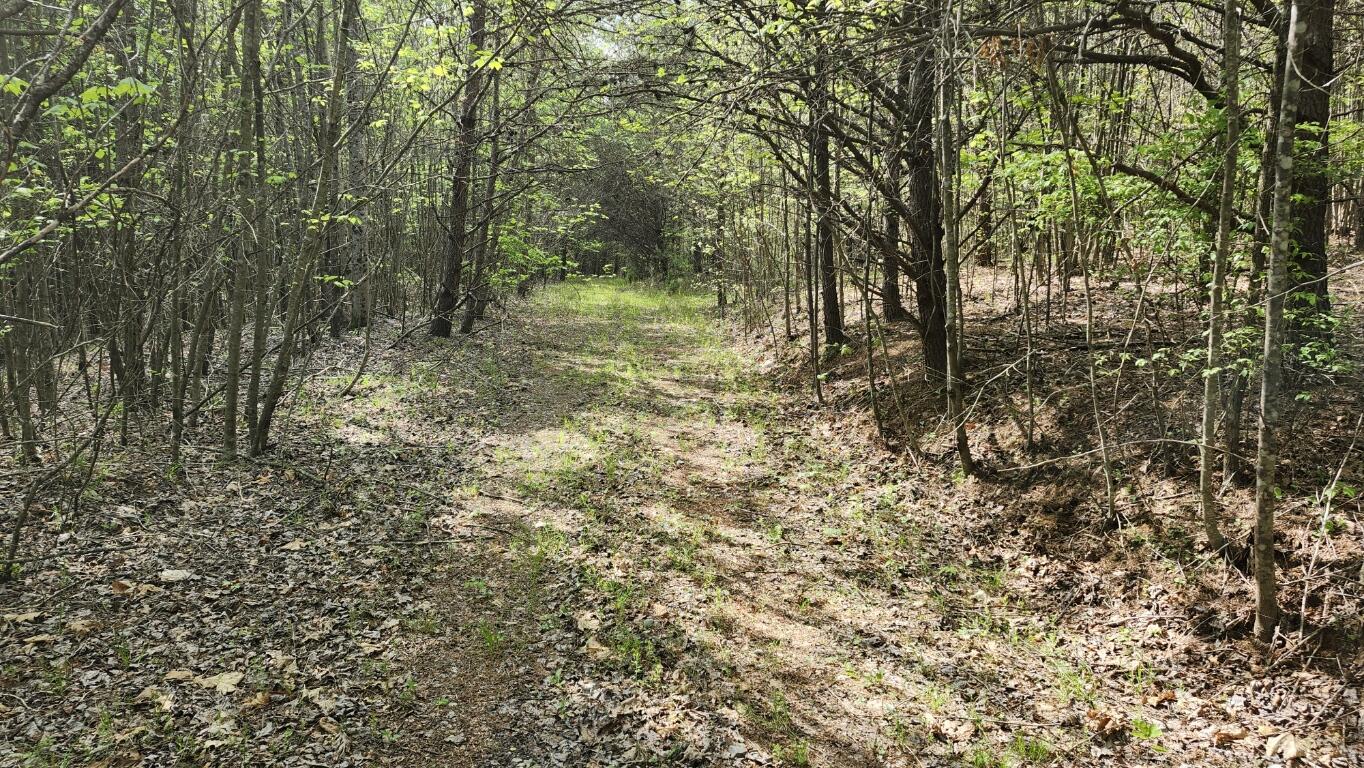 Old Holy Water Road #TRACT 3, Tracy City, Tennessee image 10