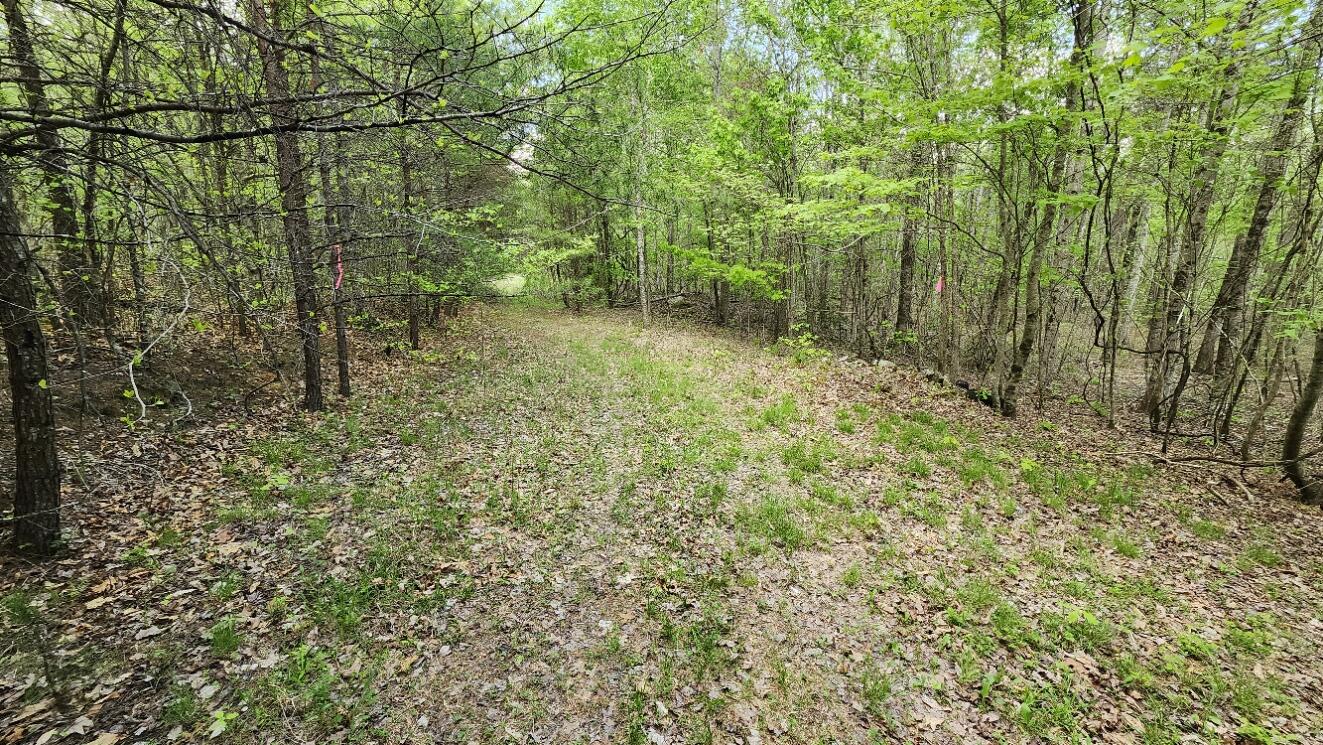 Old Holy Water Road #TRACT 3, Tracy City, Tennessee image 2