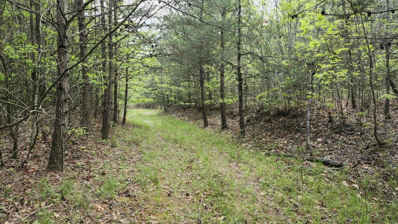 Old Holy Water Road #TRACT 3, Tracy City, Tennessee image 6