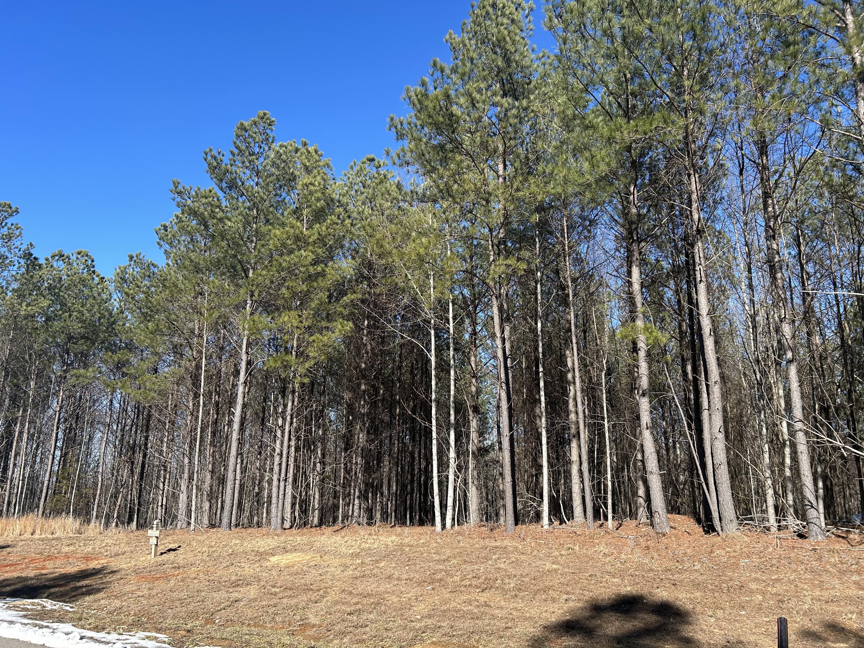 320 Waterwheel Way #JF-338, Jasper, Tennessee image 3