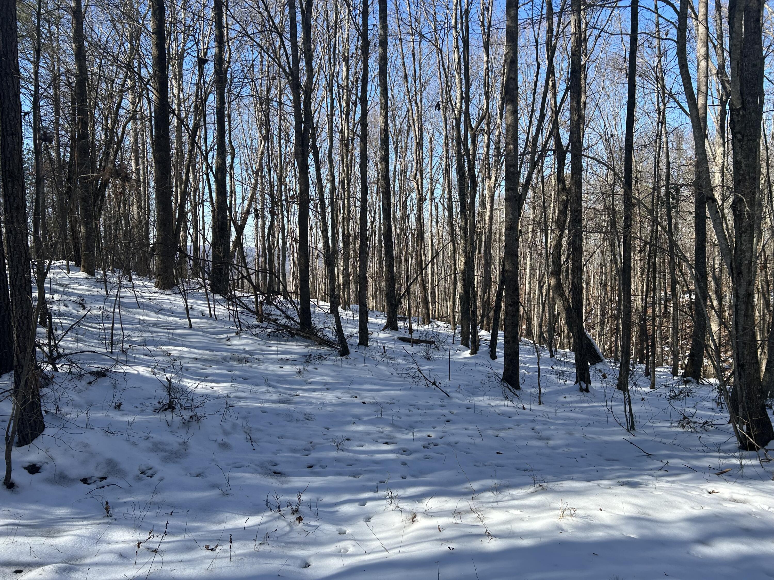 320 Waterwheel Way #JF-338, Jasper, Tennessee image 6