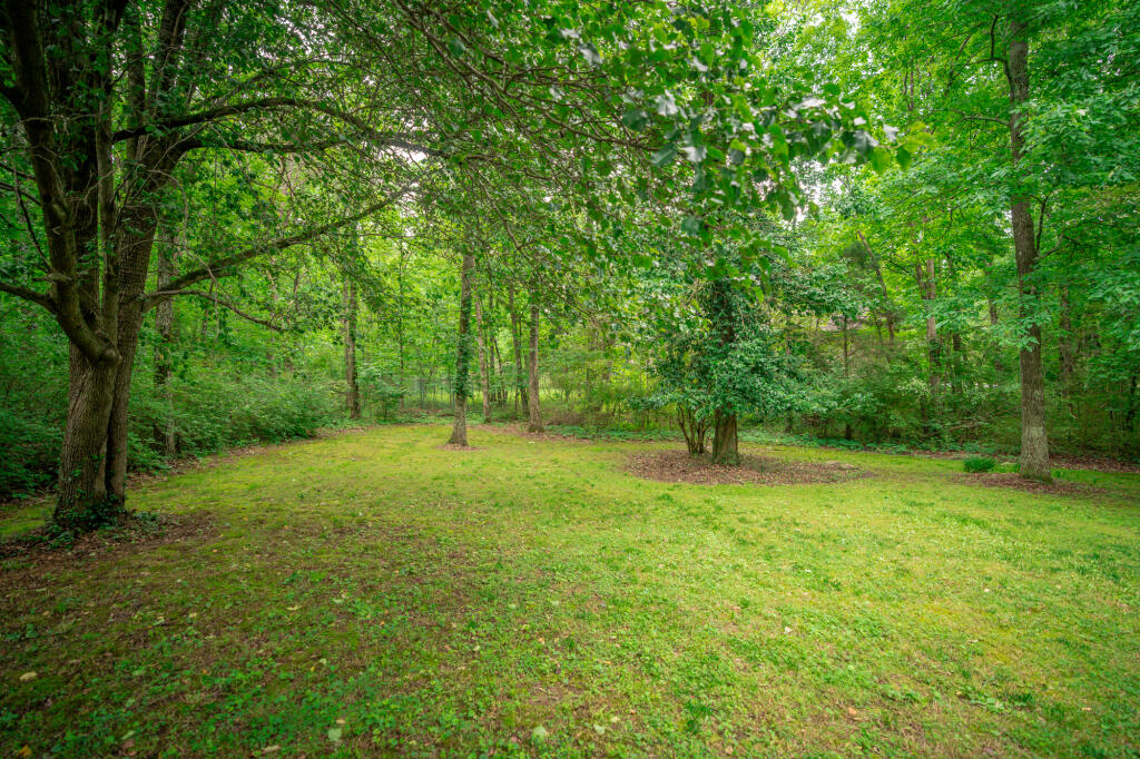 3906 Windtree Hollow Lane, Signal Mountain, Tennessee image 44