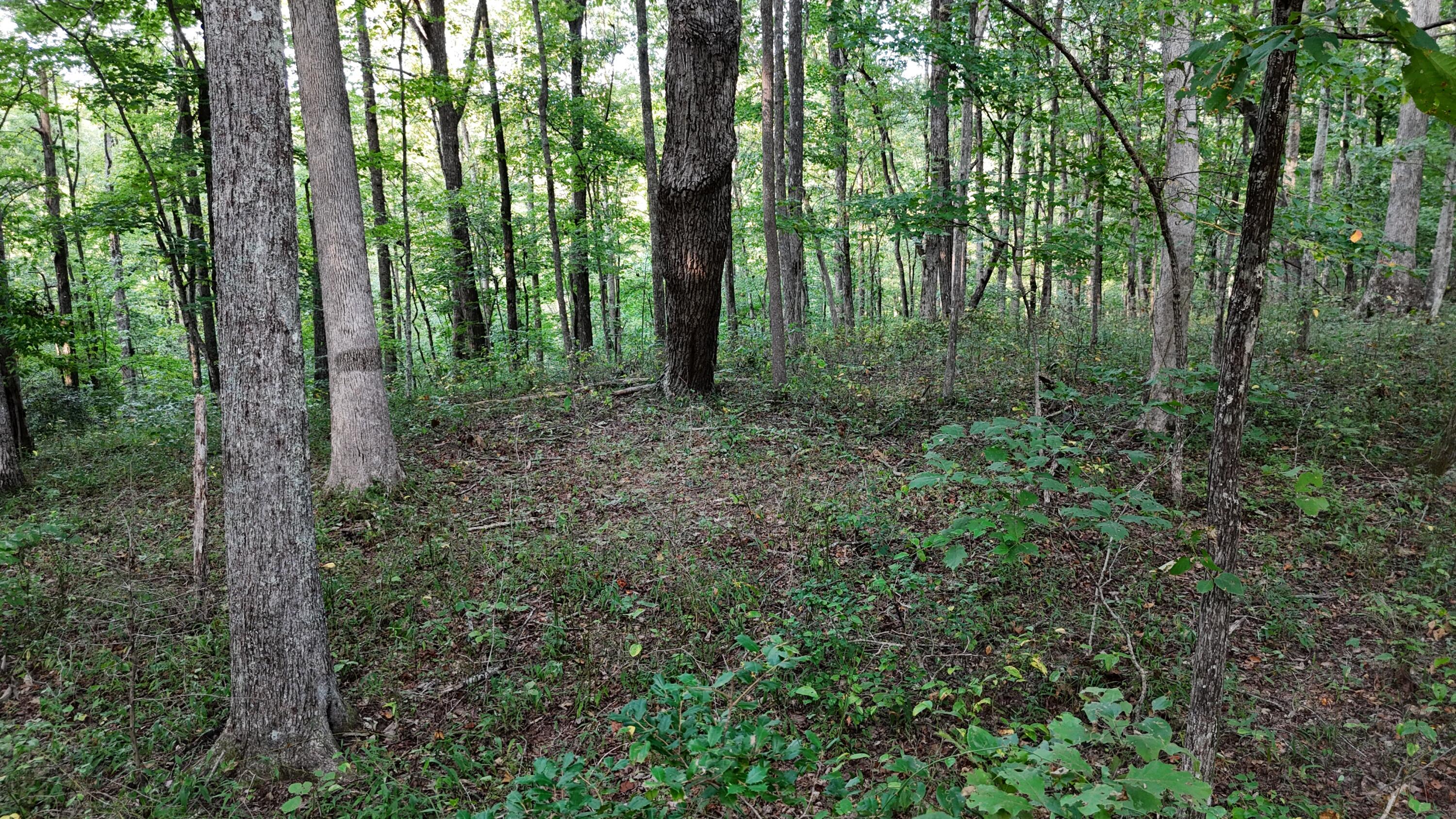 Lot 11 Poston Drive