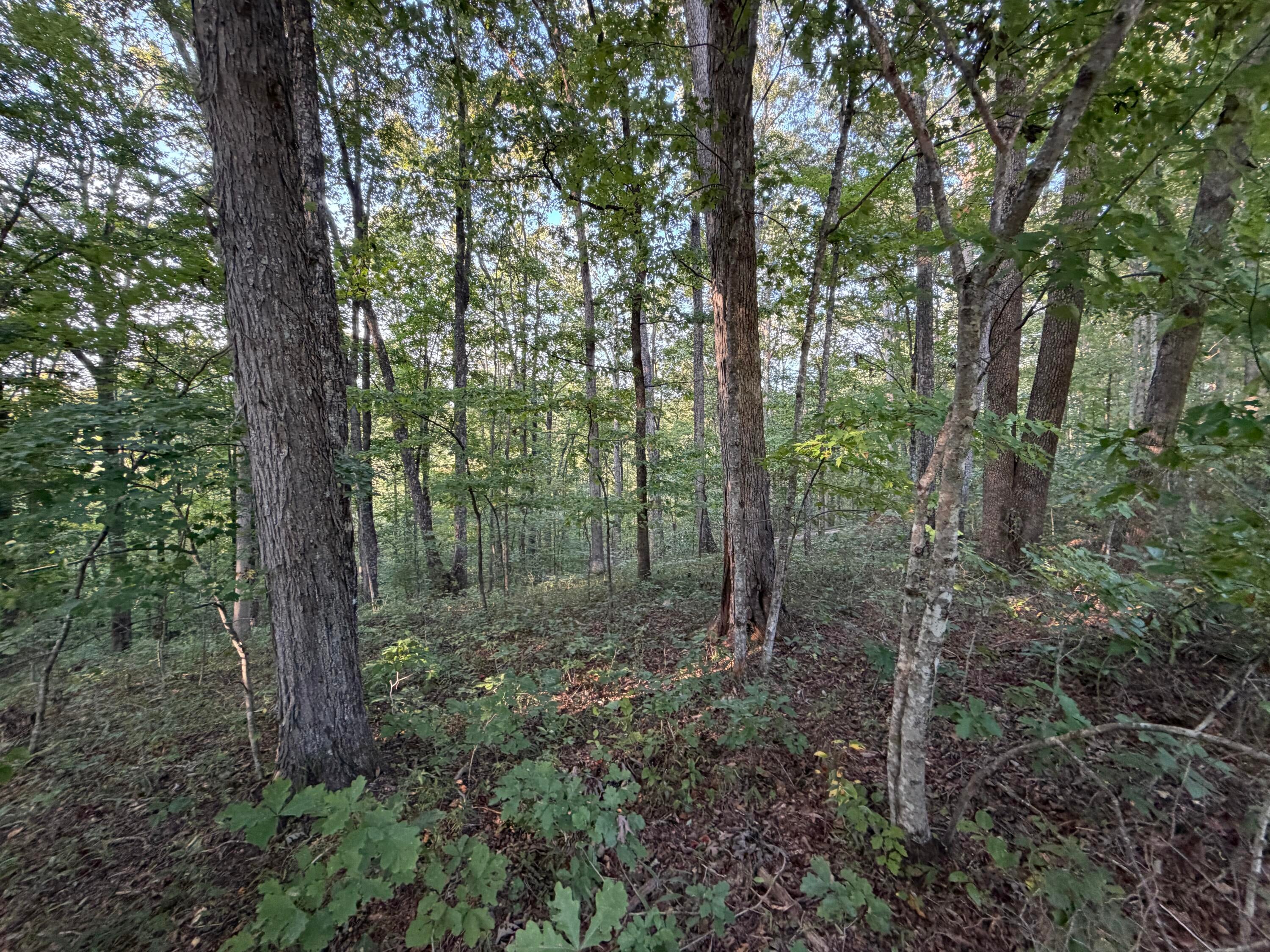 Lot 11 Poston Drive