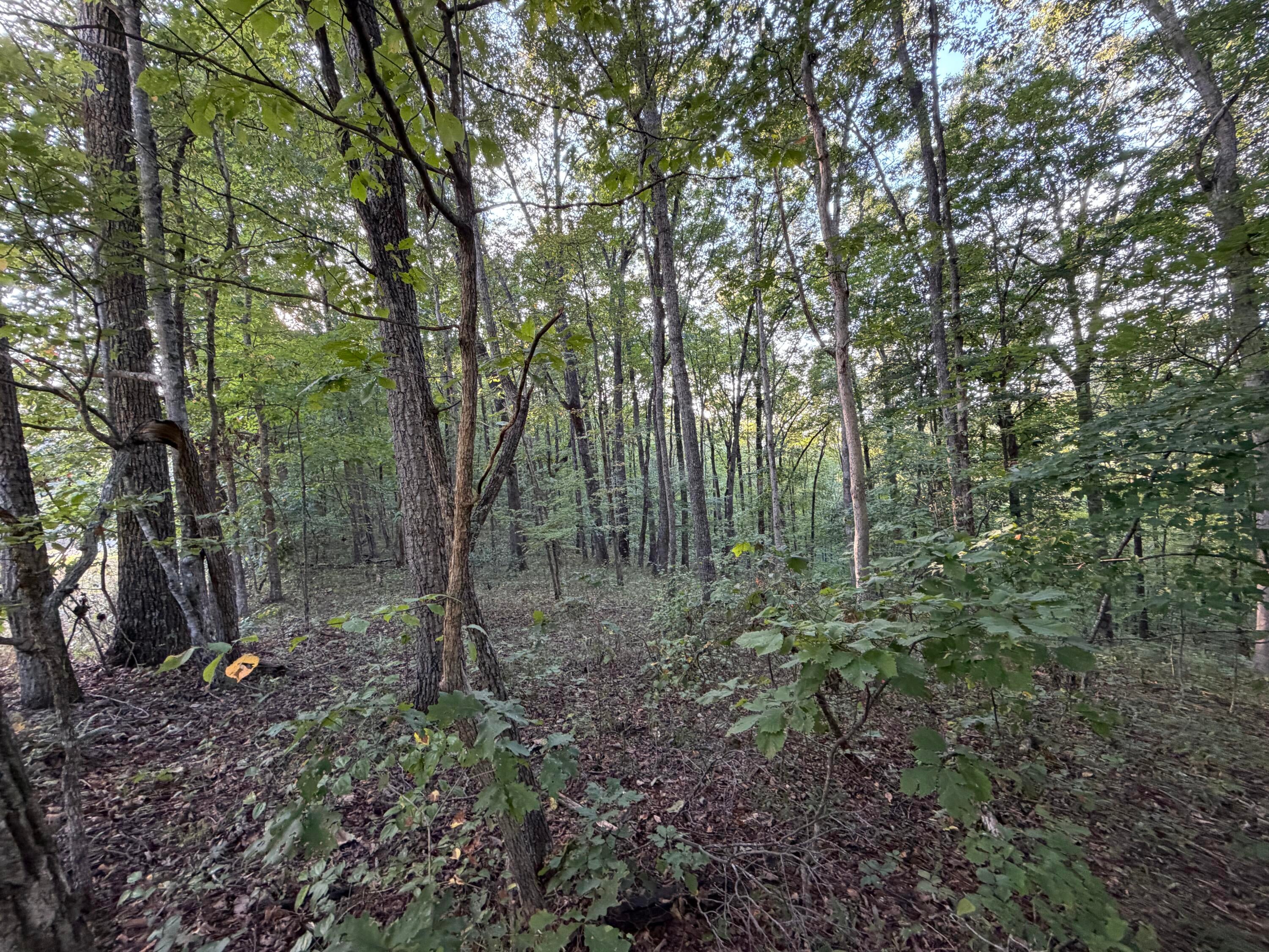 Lot 11 Poston Drive