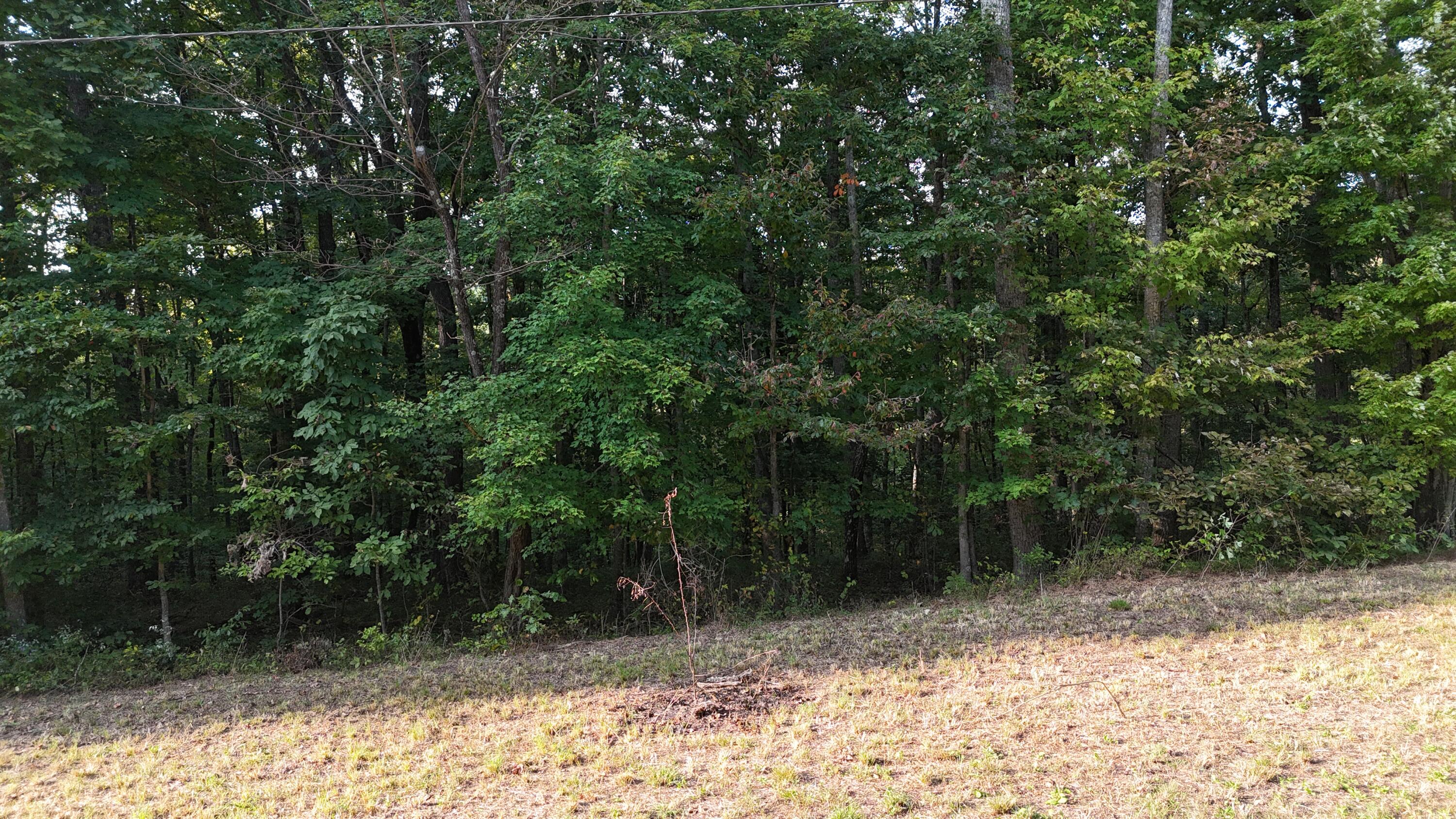 Lot 11 Poston Drive