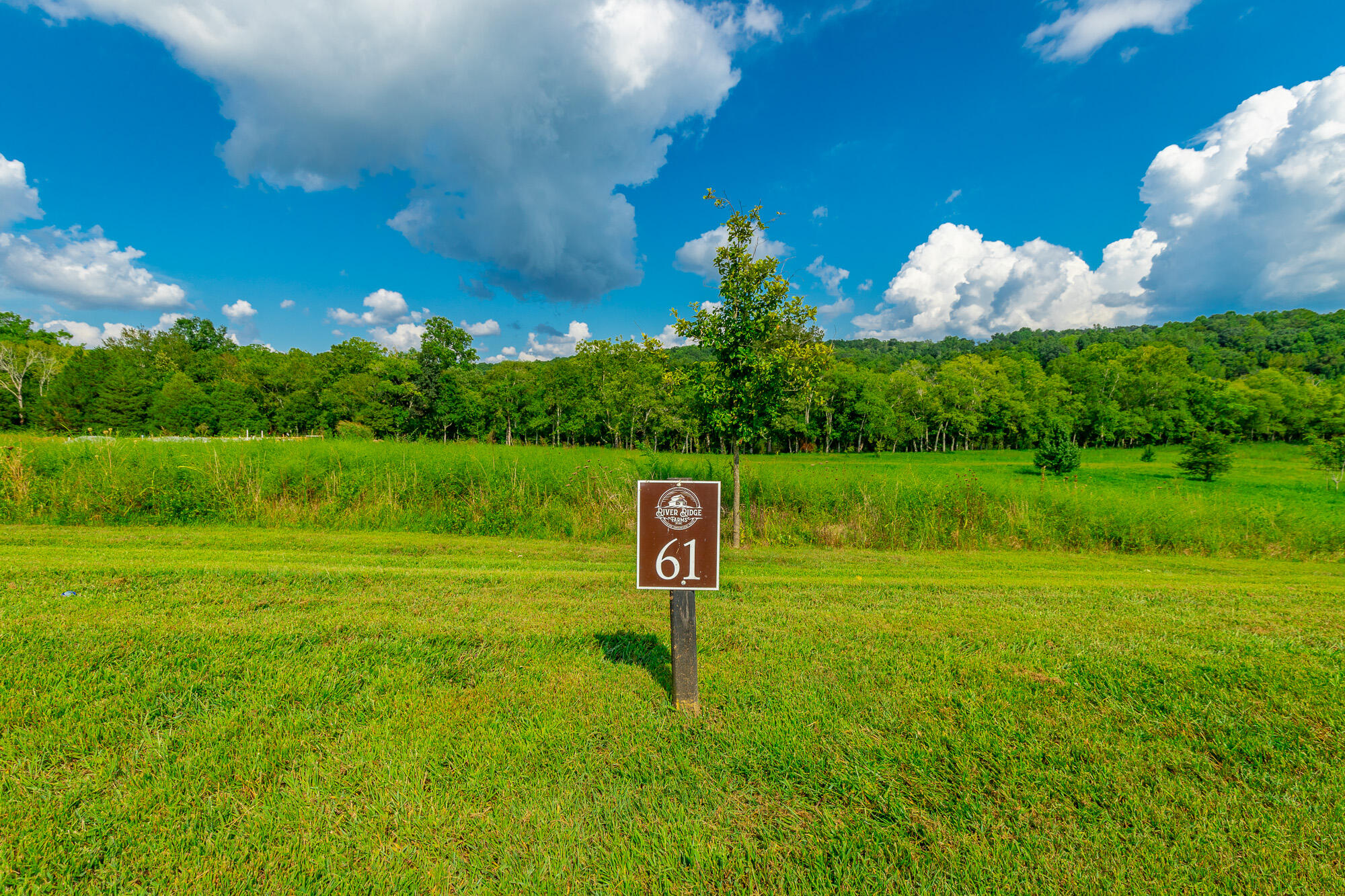 Lot 61 River Ridge Drive