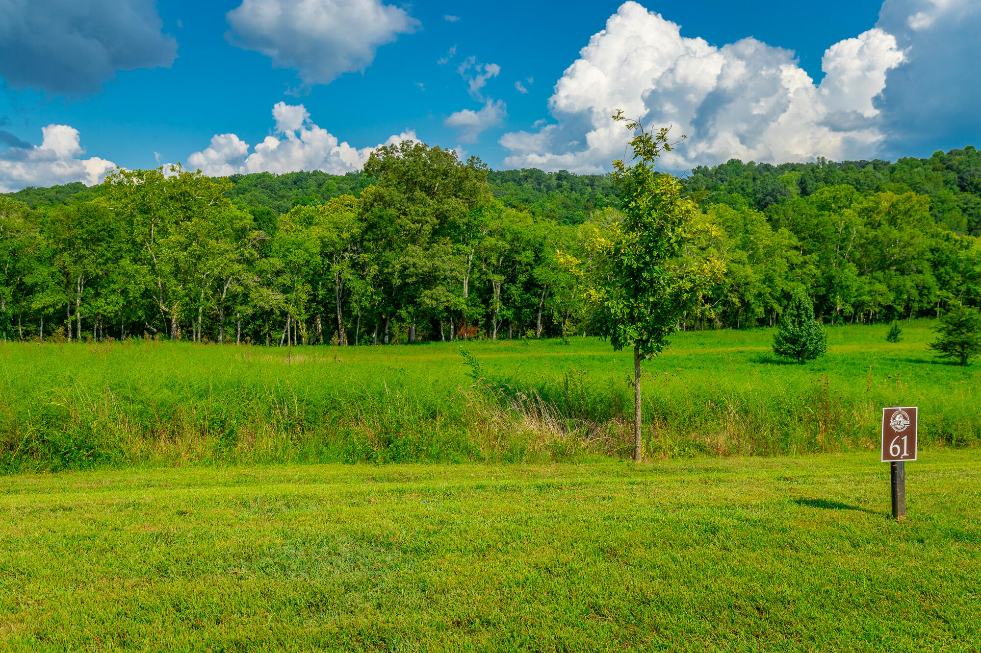 Lot 61 River Ridge Drive