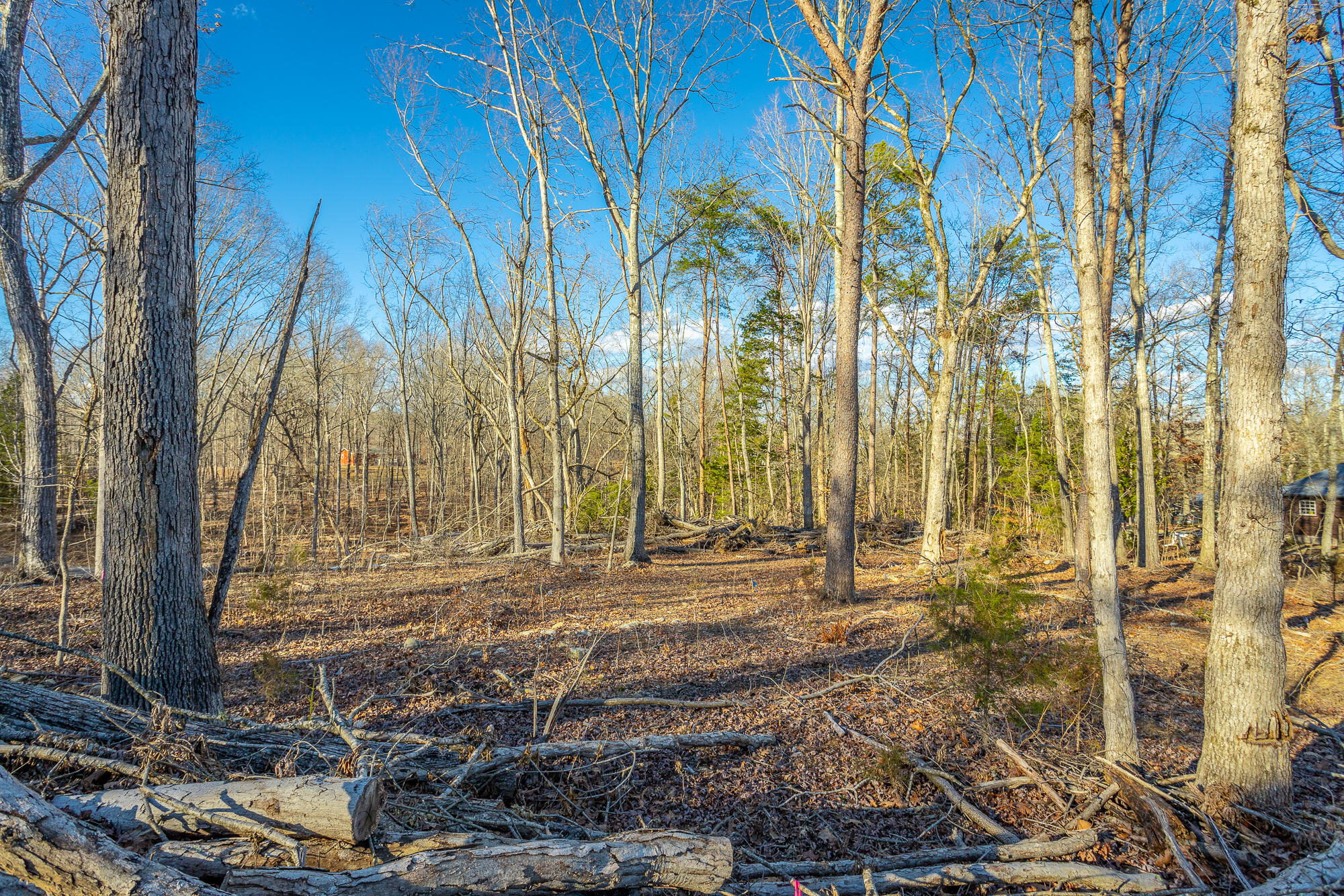 Beach Road #433, Spring City, Tennessee image 34