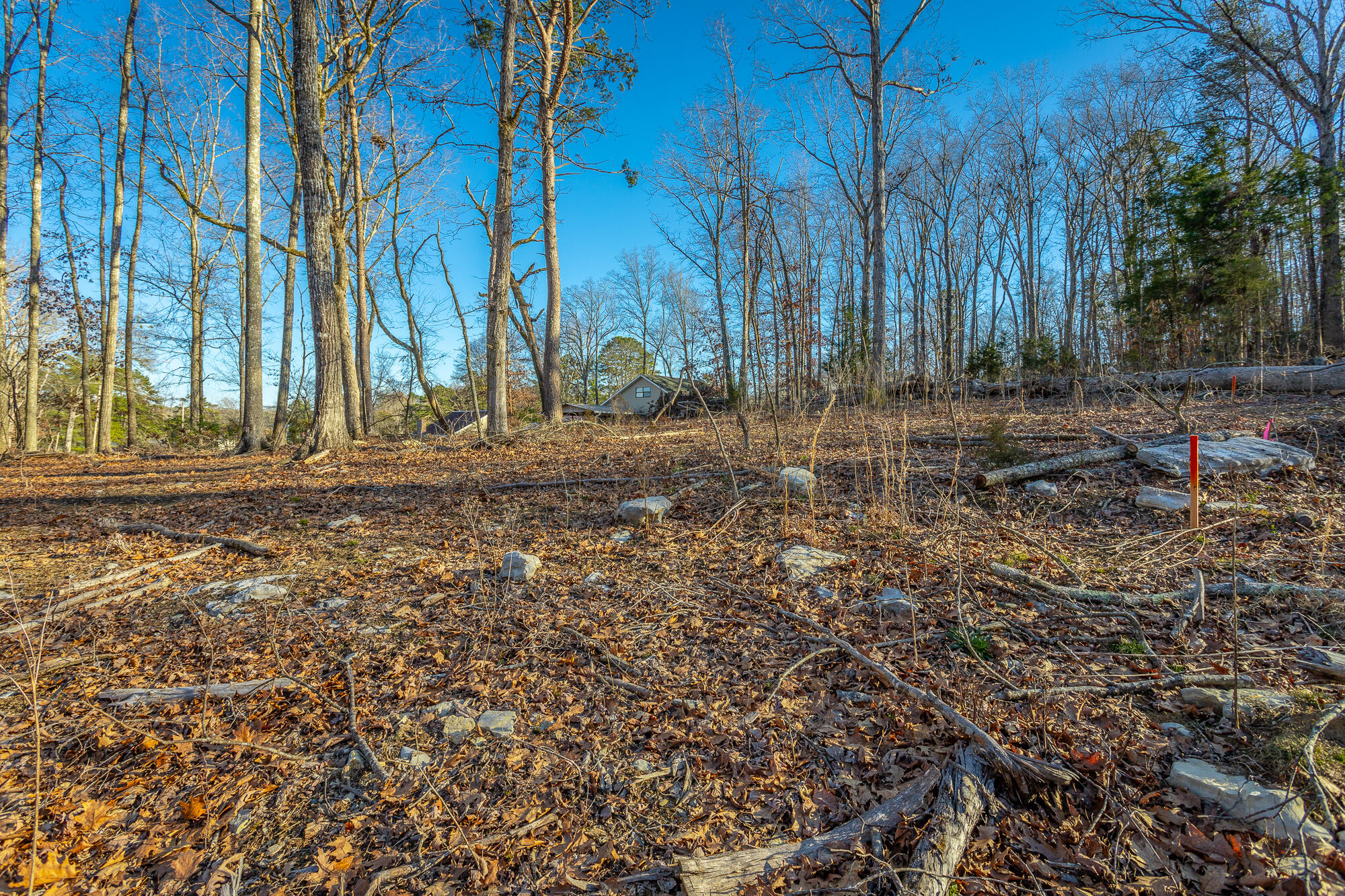 Beach Road #433, Spring City, Tennessee image 42