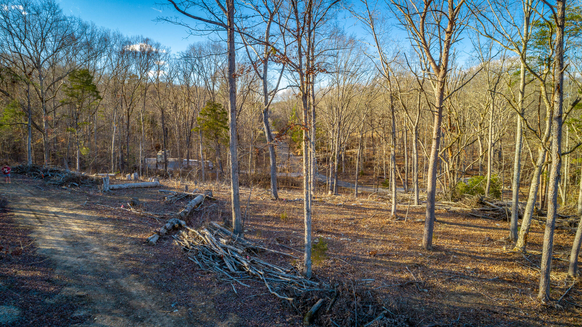 Beach Road #433, Spring City, Tennessee image 2