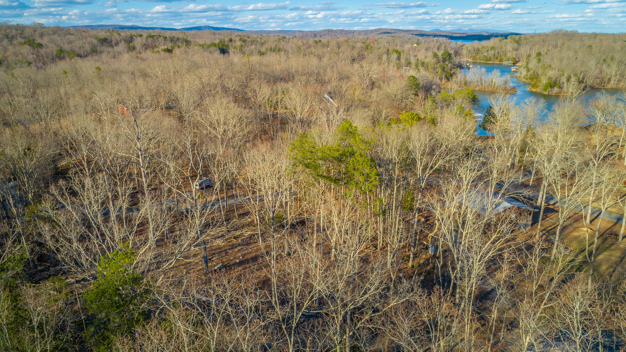 Beach Road #433, Spring City, Tennessee image 3